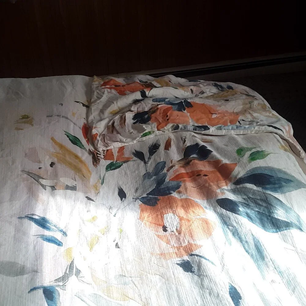 Anthropologie Botanical Queen Duvet Cover Set. Duvet Cover PLUS 2 Euro Shams